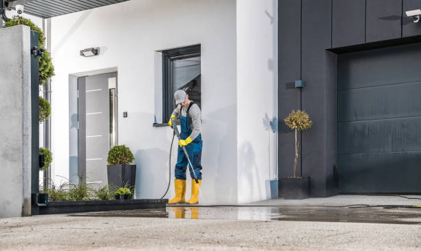 Best Gutter Cleaning  in Progreso, TX